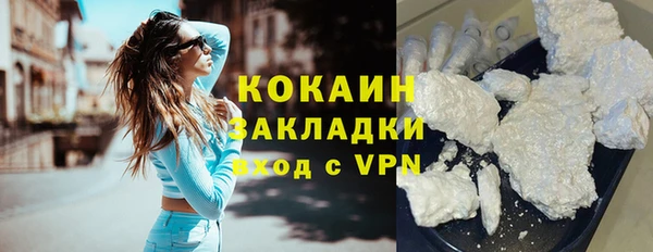 винт Пестово