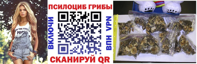 Галлюциногенные грибы ЛСД  Купить где  Белёв 
